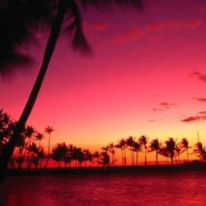 Meet your Posher, Lisbeth